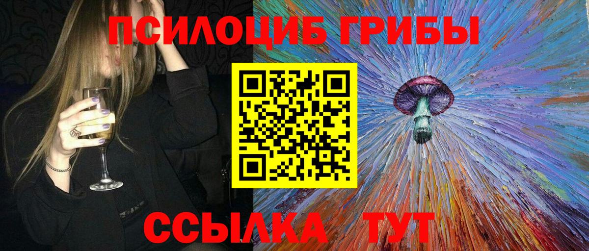 Муравленко  Галлюциногенные грибы Psilocybine cubensis  Вход с VPN 