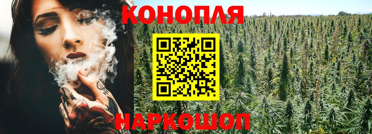 Бошки Шишки MAZAR Муравленко